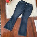 Lane Bryant  Distinctly Boot Jeans 14P Photo 1