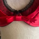 Frederick's of Hollywood -Red Bra Photo 1