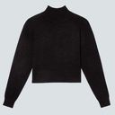 Everlane NWT  The Luxe Merino Turtleneck Photo 0