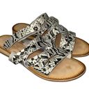 Coconuts by Matisse NWOT  Ladylike Snakeskin Sandal Photo 1