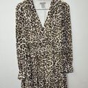 Divided  H&M Leopard Print Dress Women's Fit and Flare Tan Size 4 Long Sleeve Tan Photo 0