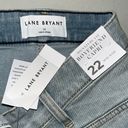 Lane Bryant  NWT 22 Denim - Rainbow Embroidered Signature Boyfriend Jean Capris Photo 3