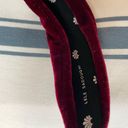 Lele Sadoughi  Knotted Velvet Headband Photo 6