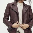 Free People  I'll Be Around Leather Moto Jacket Size L Photo 1