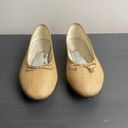 J.Crew  Zoe woven straw ballet flats natural size 9 Photo 4