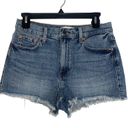 Pistola  Winston Relaxed High Rise Cuffed Denim Shorts in Mystique 28 New Jean Photo 4