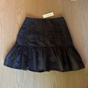 Francesca's Francesca’s Ruffle Mini Skirt Photo 0