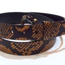 Patricia Nash  Vietri Leather Belt Python Print Sz Lg New Brown/Orange & Black Photo 0