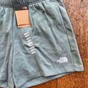 The North Face  Women's Evolution Shorts | Dark Sage | XL | NWT Photo 1