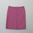 Ralph Lauren  Sport Golf Skirt Pink and White Stripe Photo 0