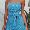 ThatsSoFetch Blue Dotted Dress Photo 0