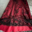 Coldwater Creek Vintage Women  Black and Red Floral Velvet With Gold Dots  Dress Photo 5