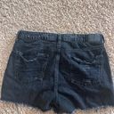 American Eagle Shorts Photo 2