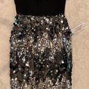 Dress the Population NWT ANTHROPOLOGIE  Robin Sliver & Black dress sz XXL Photo 0