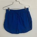 Sundry  Blue Athletic Shorts Photo 0