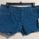 Carve Designs Womens  Oahu Shorts Turquoise Corduroy Raw Hem Stretch Beach Sz 14 Photo 0