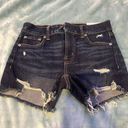 American Eagle Outfitters Shorts Photo 0