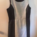 Kensie  Wool Work Gray and Black dress Photo 2