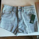 Wild Fable High Rise Jean Shorts Photo 0