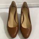 Ralph Lauren New Lauren  Harper brown snakeskin effect almond toe pumps size 8 Photo 5