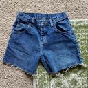 Lee Denim Shorts Photo 1