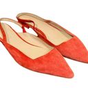 Everlane  The Editor Slingback Suede Flats in Persimmon Photo 6