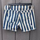 James Jeans  Striped Destroyed Denim Shorts Photo 3