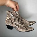 Steve Madden  | Snakeskin Ankle Booties Pointed Toe 7.5 Photo 1