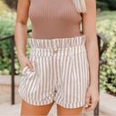 Pink Lily  brown stripe ruffle shorts size XS Photo 0