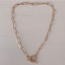 Madewell NWOT  gold chain and toggle necklace Photo 0