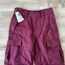 Aritzia NWT  TNA Supply Cargo Pant Spiced Burgundy Sz 00 Photo 3