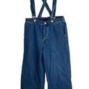 Gap  Wide Leg Button Fly Suspender Overalls Urban Jeans‎ Women’s Sz 10 Photo 0