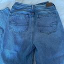 American Eagle Outfitters High Rise Mom Jean Photo 2