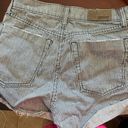 Carmar Denim Shorts Photo 3