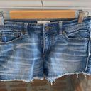 BKE  Otella Mid Rose Shortie Denim Shorts size 26 Photo 0