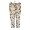 Pilcro  NWT Anthropologie Floral Ikat Stet Slim Pants Jeans Size 31 Photo 2