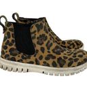 Blondo  Ankle Boot Womens Leopard Print Leather Flora Chelsea Waterproof‎ Size 8 Photo 0