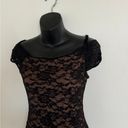 Tiger Mist New  Cyd Dress Size Medium Photo 4