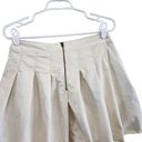 American Eagle  Outfitters High-waisted Pleated A-Line Tennis Skirt Mini Size 6 Photo 1