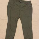 Lane Bryant green skinny pant 26 Photo 0