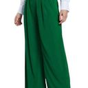 Micas  Green Wide Leg Slacks Pants Size Large Photo 0