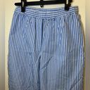 Aritzia  Wilfred Free Boardwalk Pant Striped Cotton Poplin Trousers Blue White Photo 4