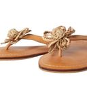 Daisy Sara Stewart Brown  Sandals Size 8 Photo 1