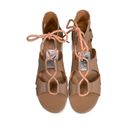 Sorel  Womens 9 Cameron Platform Gladiator Sandal in Honest Beige/Gum NEW Photo 3