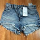 ZARA shorts Photo 0