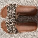 Sandals Brown Size 6 Photo 0