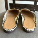 Everlane  Snake Print Flats Mules Loafers Size 6.5 Photo 7