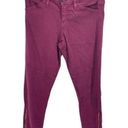 Vervet Flying Monkey Womens Skinny Pants Stretch Zip Hem Pockets Purple Size 27 Photo 0