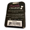 Cherish  Charms ALEXANDRA Name Bracelet Charm NEW NWT Silvertone Silver Tone Photo 1