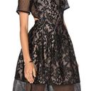 Elliatt  Velosity Dress Small Black Lace Midi Cocktail Wedding Formal Cut Out Photo 0